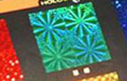 Hologram Printing



Like the credit cards