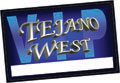 clear plastic business cards, clear business card printing